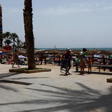 Gemuetliches 3 In Torrevieja